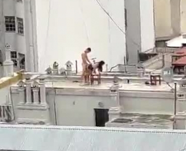 भयानक छत झाँक पैन एशियाई बिल्ली खेल रहा है